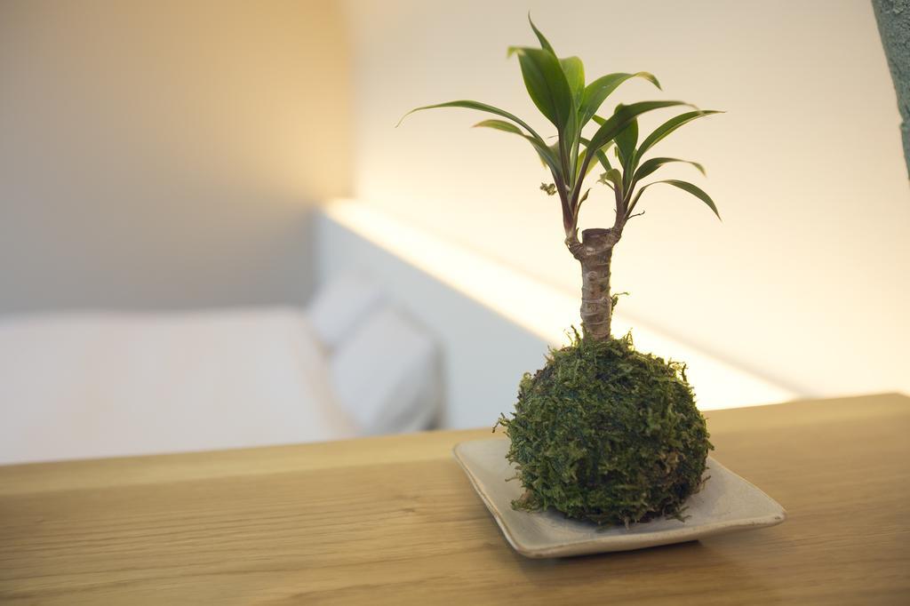 Ryokan Mokuzin Hakuba Bilik gambar
